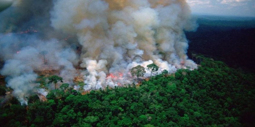 Bolsonaro: Yangınları çevreciler çıkarıyor olabilir
