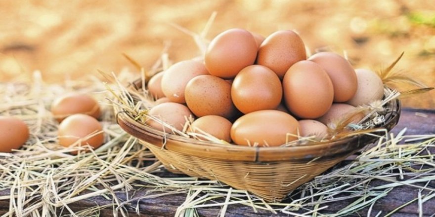Yumurtada yerli üretim arttı