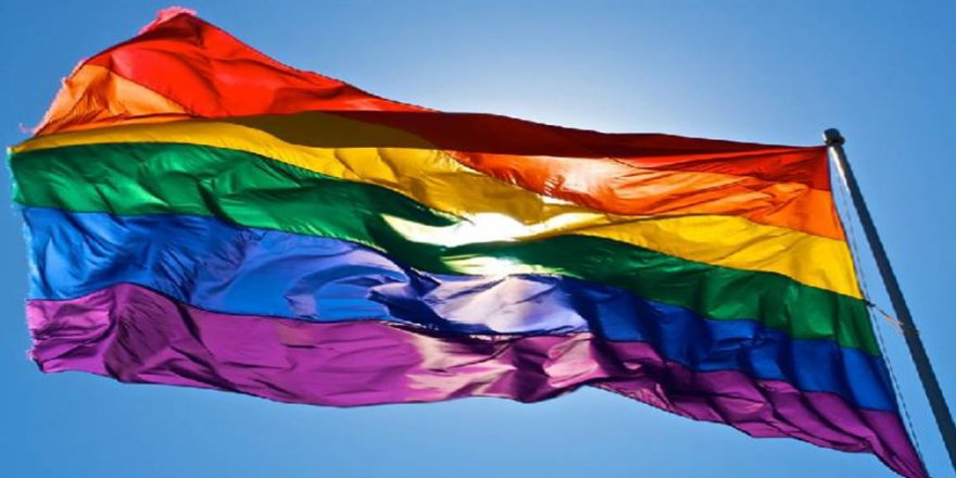 12 LGBTİ+ Örgütünden Kayyıma Tepki