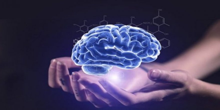 Beyin implantları: Nöral devrim mi, düşünce kontrolü mü?