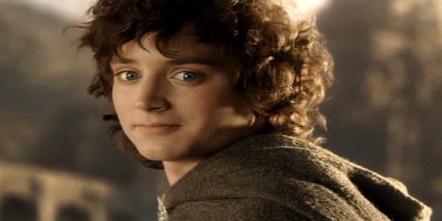 Yeni Zelanda'da bir böcek türüne 'Frodo Baggins' adı verildi