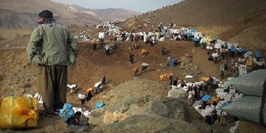 Pasdarên Îranê kolberekî din kuştin