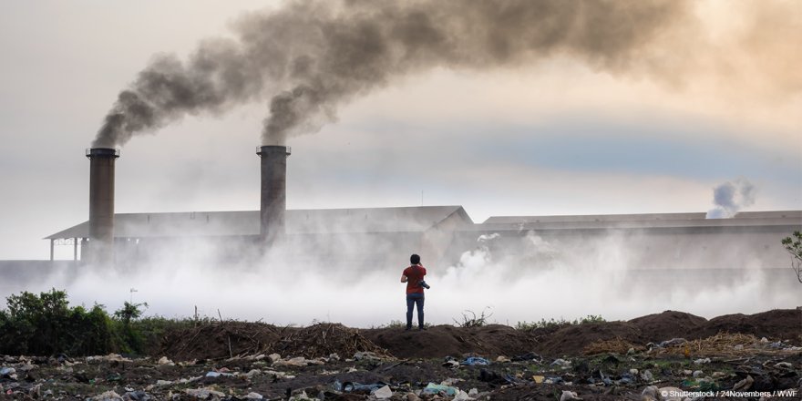WWF-Türkiye: Hava kirliliği trafik kazalarından 7 kat fazla can aldı