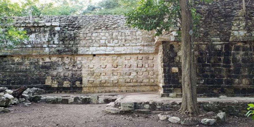 Meksika'da büyük bir Maya sarayı bulundu