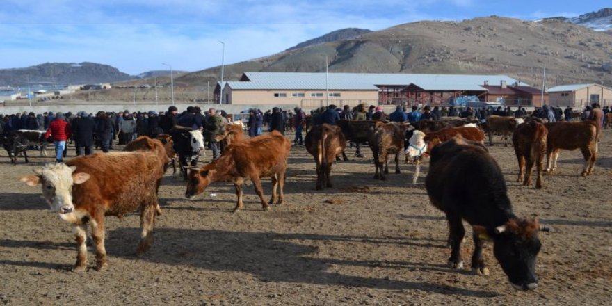 Hayvan üreticileri protesto edince Van canlı hayvan pazarı boş kaldı