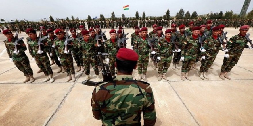 Serbest Lezgin: Peşmerge'nin hazırlığı en üst seviyede