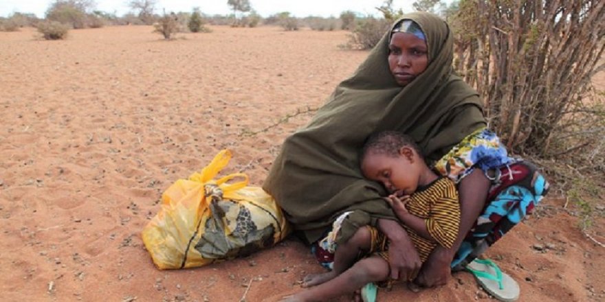 BM: Afrika’nın güneyinde 45 milyon kişi açlıkla karşı karşıya