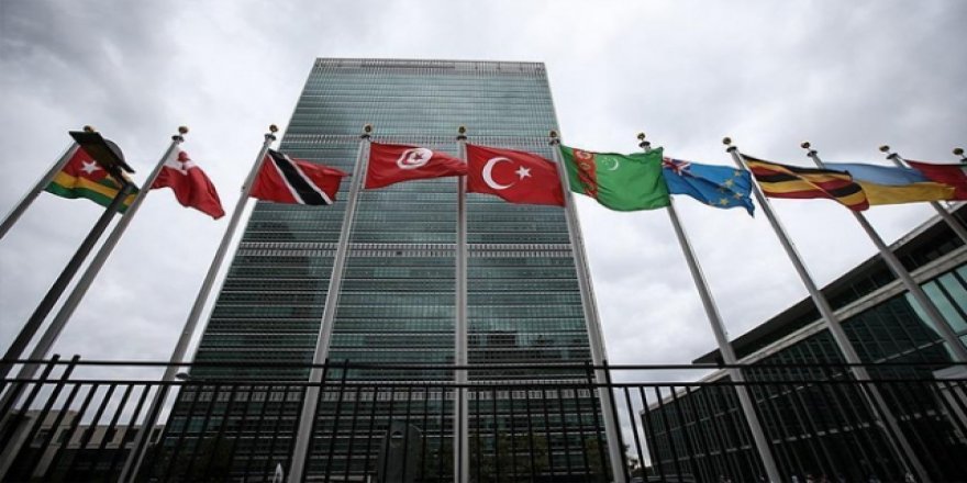 Türkiye BM’ye ‘kuvvetler ayrılığı’ ve ‘demokrasi’ iddiasıyla gidiyor