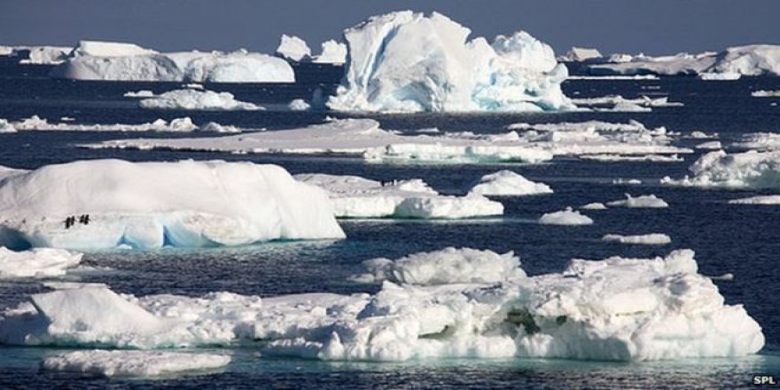 Antarktika eriyor: Tarihin en yüksek sıcaklık değeri ölçüldü