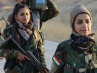 Başika Peşmerge güçlerinin kontrolünde