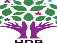 HDP: Kayyum darbesi, halk iradesinin gasp edilmesidir