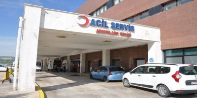 Mardin'de çoban kardeşlere yıldırım isabet etti: 1 ölü, 1 yaralı