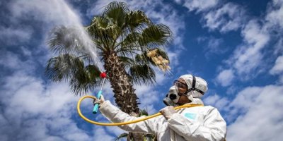 Dünya Meteoroloji Örgütü: Sıcaklık rekoru kırılabilir