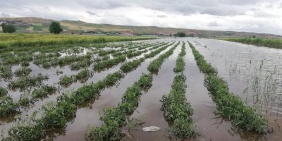 Batman'daki baraj mağduru çiftçiler yetkililerden çözüm yolu bekliyor