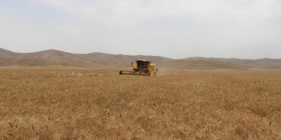 Kerkük’te Araplaştırma projesinde yeni adım