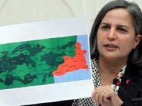 Belediyesi Eş Başkanı Gültan Kışanak'a 230 yıla kadar hapis cezası istendi