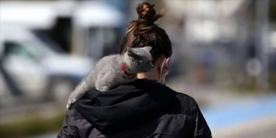 BM’den hayvanlardan insanlara bulaşan hastalıklarla ilgili uyarı