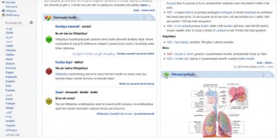 Online sözlükler sayesinde Kürtçe gelişmeye devam ediyor