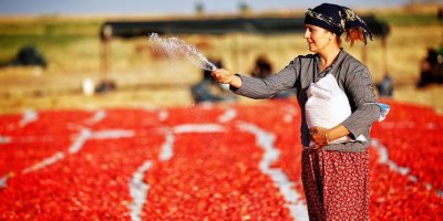 Avrupa’nın salçası Diyarbakırlı kadınlardan