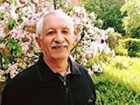 Elî Qadî Mîrza Qasim