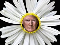 Türkiye’nin ‘Trump falı’: Seviyor, sevmiyor, sevi…