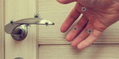 CSIRO: Covid-19 bazı yüzeylerde 28 gün canlı kalıyor