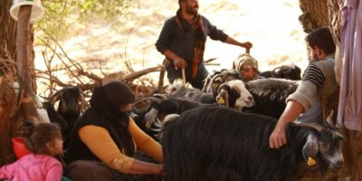 Koçerler yayladan indi