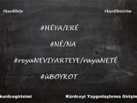 Kürdceyi Yayginlaştirma Girişimi