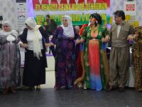 PAK Diyarbakır'da Newroz'u Kutladı