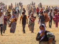 Tehdit Altındaki Halklar Topluluğu'ndan Ezidi çağrısı