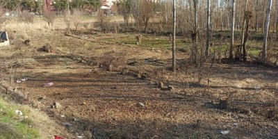 Diyarbakır’ın oksijen deposunda ağaç katliamı