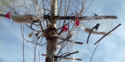 Yüksekovalı genç pet şişelerinden kuş yemlikleri yaptı