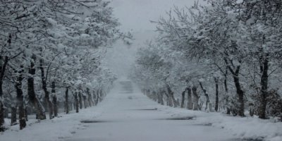 Diyarbakır beyaza büründü