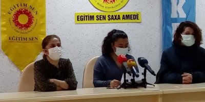 Eğitim Sen: Anadilde eğitim sorunu, eğitime erişimi olumsuz etkiledi