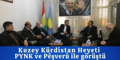 Kuzey Kürdistan Heyeti PYNK ve Pêşverû ile görüştü