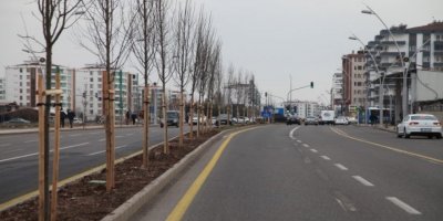Diyarbakır Belediyesi bir yılda 3 kez ağaç dikip, söktü
