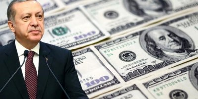 İsveç bankası: Erdoğan Merkez Bankası’nı yönettiği sürece TL’ye yatırım yapmayacağız