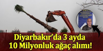 Diyarbakır’da 3 ayda 10 milyonluk ağaç alımı!