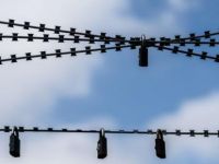 Fransız gazeteci Şırnak'ta tutuklandı