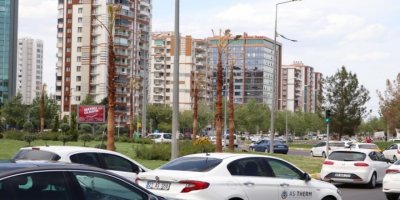 DBB kayyımının diktiği palmiye ağaçları kurudu