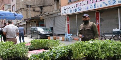 Fideler yasaktan dolayı çürüdü