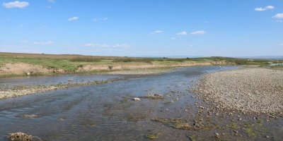 Diyarbakır’da 20 bin dönüm arazi susuz kaldı