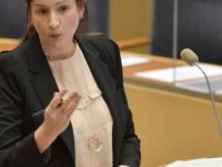 Bırakın, Kürtler Ortadoğu'da Örnek Bir Demokrasi Olsunlar