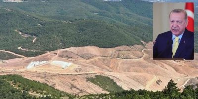 Erdoğan: Türkiye olarak doğayı koruyan ve çevre bilinci kazandıran çalışmalarda öncü roldeyiz