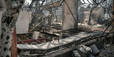 Guardian'dan orman yangınları yorumu: "Türkiye'de hükümete öfke büyüyor"