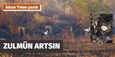 İskan Tolun: Zulmün artsın
