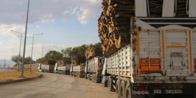 Şırnak’ta orman varlığı 7 ayda en az yüzde 8 azaldı