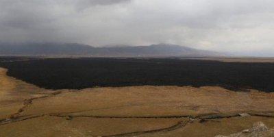 Yüksekova Kuş Cenneti'nin yüzde 70'i küle döndü, binlerce hayvan öldü