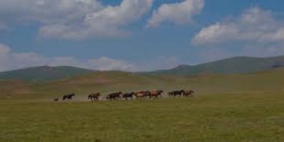 Tayfun Karayip: Orta Asya’ya geri dönmeliyiz