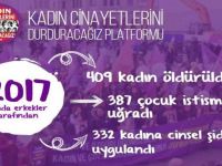 2017 yılında 409 kadın cinayeti işlendi